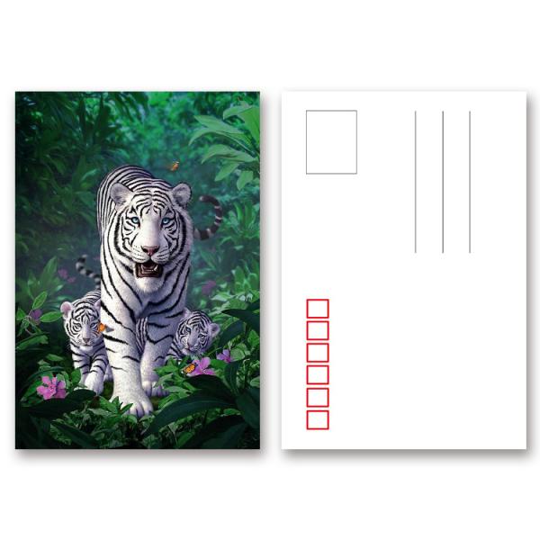 Buy Durable Animal Theme OEM 3D Lenticular Postcard / Gift Card Printing at wholesale prices
