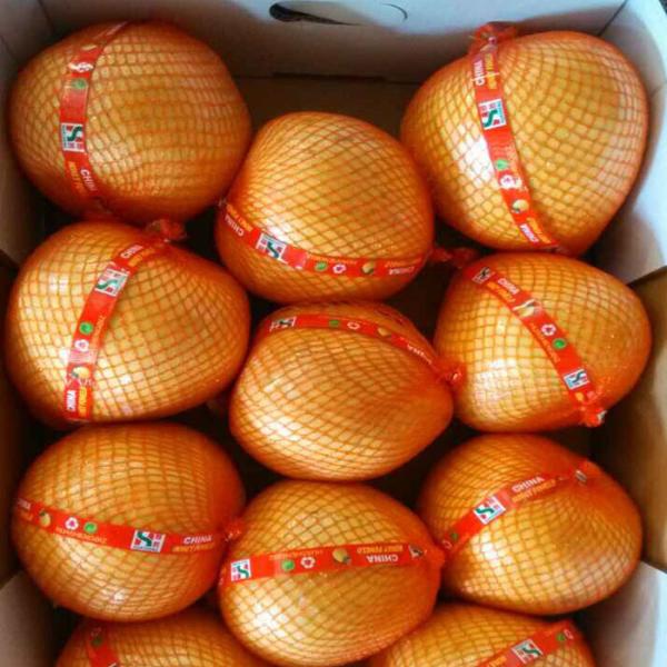 Chinese Golden Supplier Delicious Fresh Honey Pomelo / Grapefruit With Global