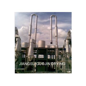 Wood Sawdust Pulse Air Flow Dryer 35M2 With Coal Heating