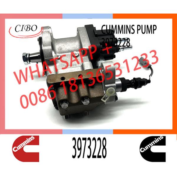 6745-71-1170 6745-71-1010 3973228 4954200 PC300-8 Engine SAA6d114 Qsc Excavator Fuel Pump