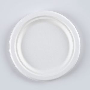Biodegradable Food friendly fully Bagasse 6.75 inch Round Plates