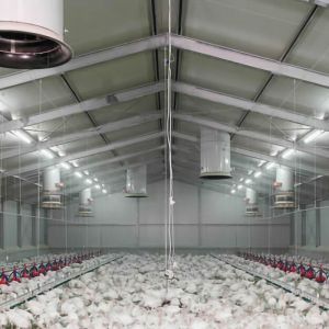 Custom Modern Steel Frame House , High Strength Metal Chicken House