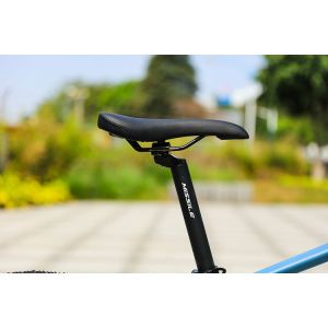 Hydraulic Disc Brake 2022 Year Presents 22 Speed 29inch Mountain Bikes for