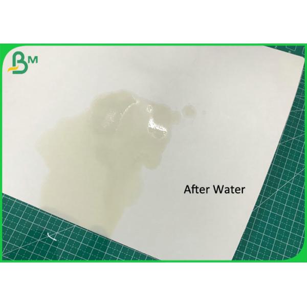 Coaster Material Sheet 70 * 100CM 0.7MM 1.4MM Absorbent Paper for Seal gasket