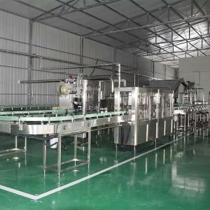 Automatic mango Fruit Juice Processing Line Fresh Fruit Complete Juice