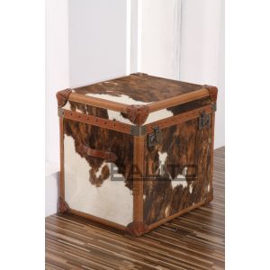 classical old style antique leather case furniture
