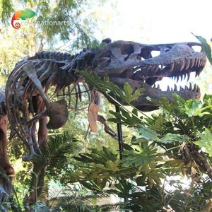 Weather Resistance T Rex Skeleton Replica