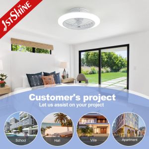 Low Profile Adjustable Light Ceiling Fan With Remote Control