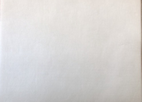 Buy 30g Water Electret Melt-Blown Non-Woven For FFP2, FFP3, KF94, KF99 Mask at wholesale prices