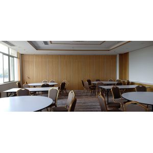 Function Hall Top Suspended Acoustic Partition Wall Panel Standard Thickness