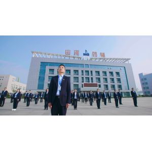 Medicinal Grade HPMC E5 for CAS No. 9004-65-3 Used in Plant Capsules Production