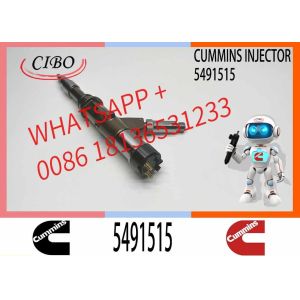 Common Rail Injector High pressure fuel injector 5491515 4307475 4307468 5491515