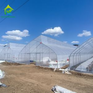Single-Span Sawtooth Design Tropical Plastic Film Greenhouse Tunnel Customized