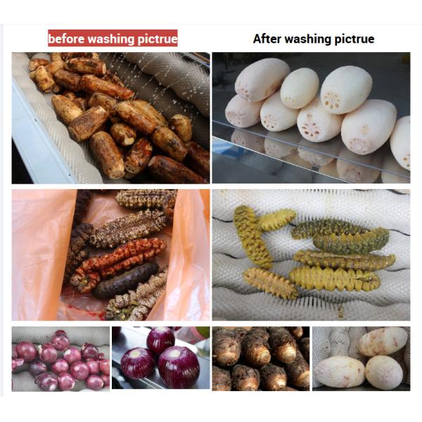 Pharmaceutical Production Nylon Bristle Cylindrical Roller Tufted Brush With High Evaluation