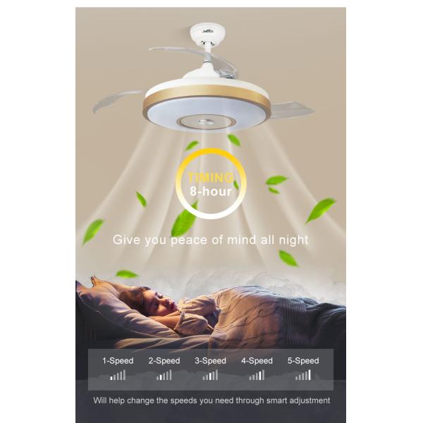Stylish Metal Indoor Ceiling Fan with Hidden Blades and Cooling Air LED Light Function