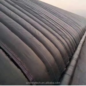 Film Covered Solar Greenhouse for Sustainable Winter Cucumber Cultivation