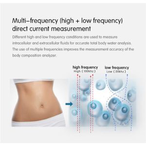 SH-FM1 3D Professional Bioimpedancia Body Composition Analyzer Machine Body