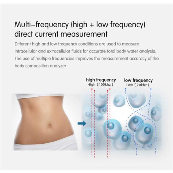 SH-FM1 3D Professional Bioimpedancia Body Composition Analyzer Machine Body Composition Analyzer for beauty salon