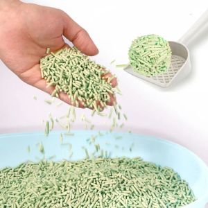 Quality Eco Friendly Green Tea Tofu Cat Litter Low Tracking for sale