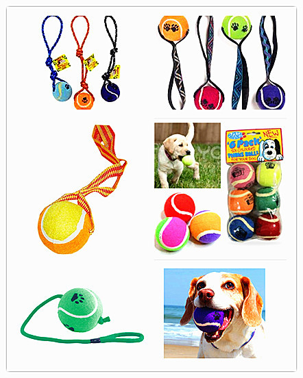 Buy pet outdoorpets training goodscarriers & houses" at wholesale prices