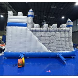 Animal Theme Kid Inflatable Bouncer With Water Slide