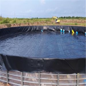 Environmental 2mm Plastic Fish Pond HDPE Geomembrane Liner for Environmental