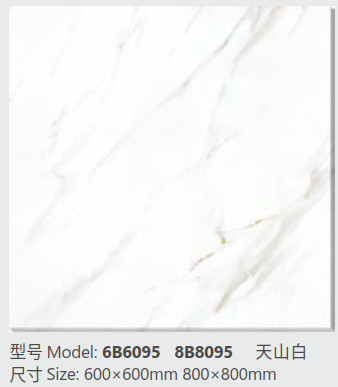 Buy Frost Resistant Glazed Porcelain Tile Rectangular 600 * 600mm at wholesale prices