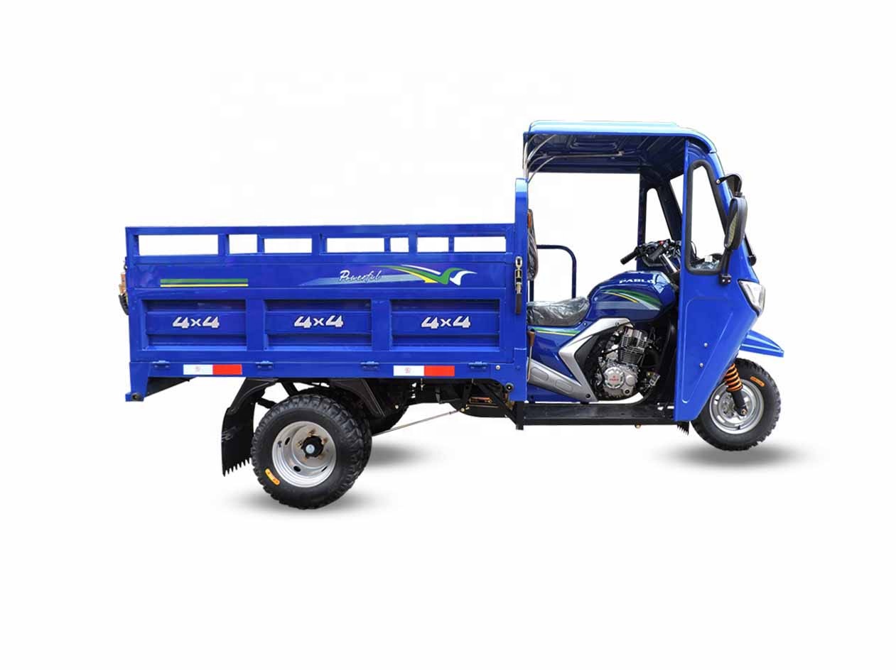 200cc Cargo Tricycle Motorcycle with 900kg Loading Capacity