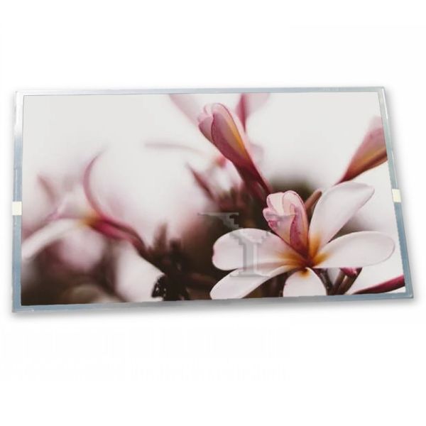 Buy NEW LCD DISPLAY LCD PANEL LTM190EX-L31 19 Inch at wholesale prices