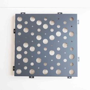 Galvanized Architectural Perforated Metal Sheet Waterproof Security Protective