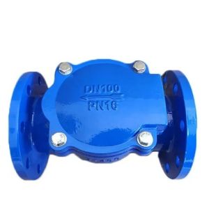 Flange Joint Ends BS Standard Swing Check Valve for OBM Customized Solutions and