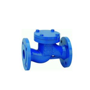 GGG25 Ductile Iron Lift Check Valve Flanged End