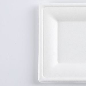 Disposable Dinnerware Set, Compostable Plant Based Cutlery Eco-Friendly