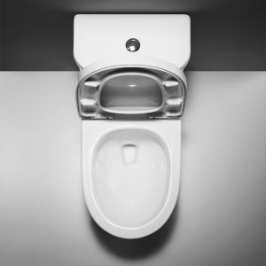 Round Bowl 1.1GPF One Piece Toilets Siphon Flush 4L