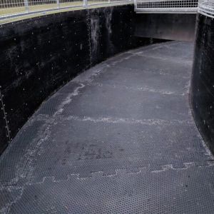 Interlocking Horse Walker Matting Rubber With Studded Pattern