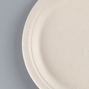 Biodegradable Sugarcane Bagasse Bio Paper Plate Pulp Fiber Round Disposable