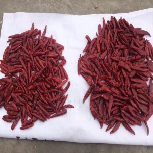 China 100g Tianjin Dried Red Chilies Spicy Room Temperature on sale