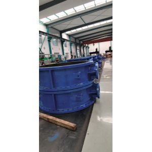 Large size bs en Double Flanged Butterfly Valve