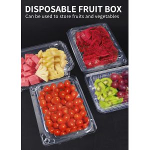PET Fruit Container Disposable Plastic Containers With Dome Lid Disposable Clear
