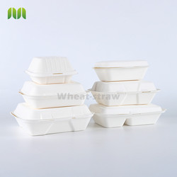 Biodegradable box Compostable Eco Friendly Sugarcane Bagasse Takeaway Food