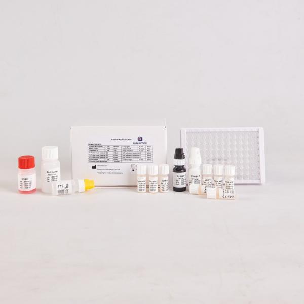 Buy RUO Helicobacter Pylori Antigen ELISA Quantitative Test Kit (Feces) at wholesale prices