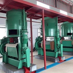 New Type Seed Oil Extraction Machine Oil Expeller for Seeds Big Capacity Cold
