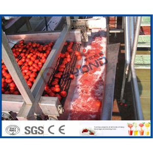 Fruit Processing Tomato Juicer Machine , Electric Tomato Juicer Process Plant
