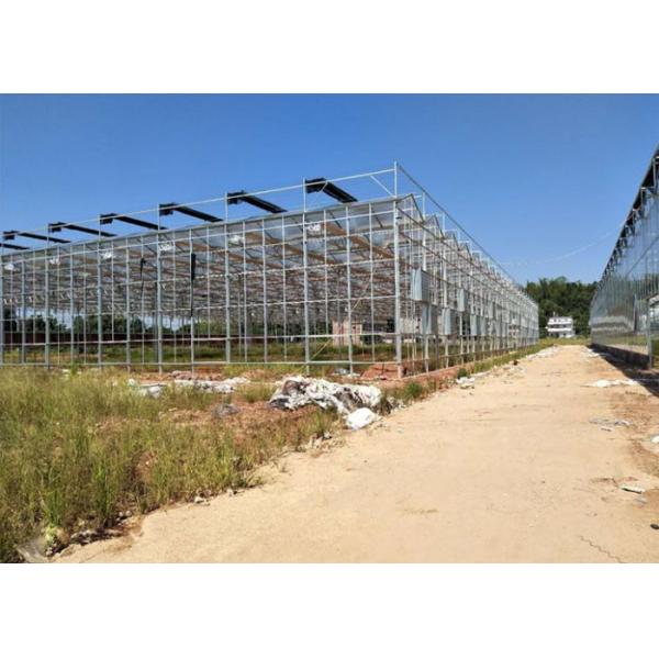 Buy Venlo Glass Greenhouse , Multi Span Greenhouse For Hydroponics System at wholesale prices