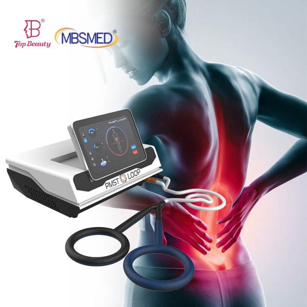 Professional Pemf Therapy Magneto Equines Pmst Loop Portable Magnetotherapy Pemf Therapy Machine for Horses