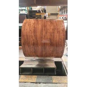 ASTM Standard Prepainted Galvanized PPGI PPGL Roll Color Coated Steel Coil for