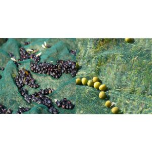 Harvesting Nets for Fruit