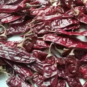 Dehydrating Sweet Paprika Chilli Pepper Vacuum Sealed 1%Max