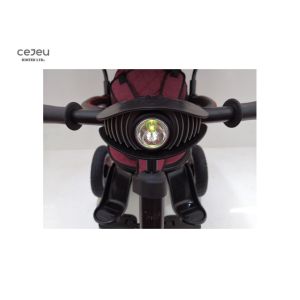 Inflatable Wheels Purple Tricycle Stroller Bike 12KG EN71