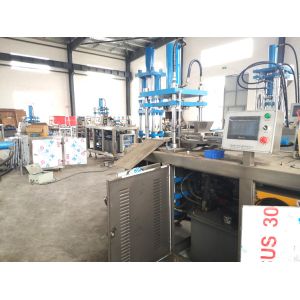 Punching Calcium Hypochlorite Ca(Clo)2 Automatic Tablet Press Machine